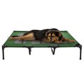 Pet Adobe Elevated Portable Pet Bed Cot-Style 48”x35.5”x9” for Dogs and Small Pets | Indoor/Outdoor (Green) 642010SAI